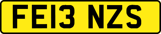 FE13NZS