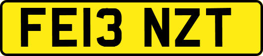 FE13NZT