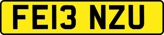 FE13NZU