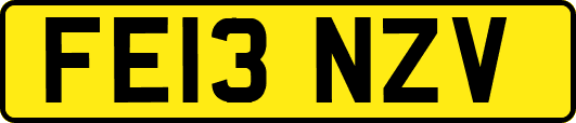 FE13NZV