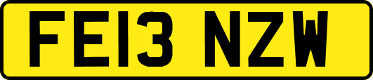 FE13NZW