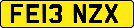 FE13NZX