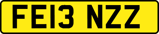 FE13NZZ