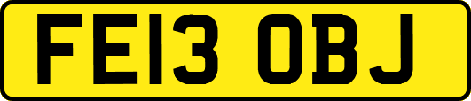 FE13OBJ