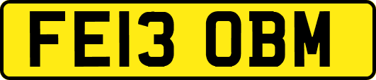 FE13OBM