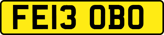 FE13OBO