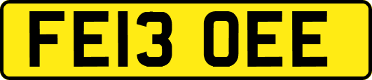 FE13OEE