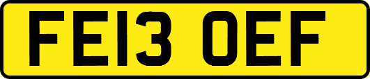 FE13OEF