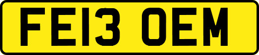 FE13OEM