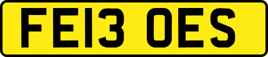 FE13OES
