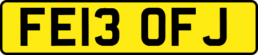 FE13OFJ