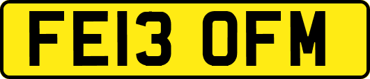 FE13OFM