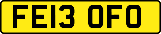 FE13OFO