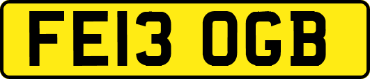 FE13OGB