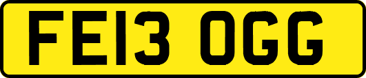 FE13OGG