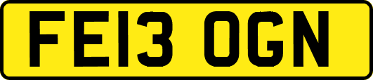 FE13OGN