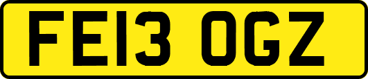 FE13OGZ