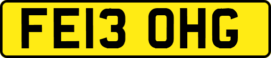 FE13OHG