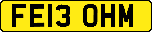 FE13OHM