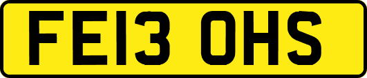 FE13OHS