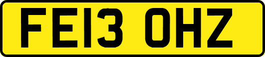 FE13OHZ