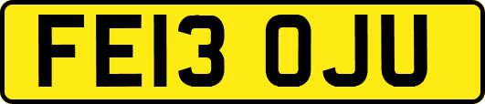 FE13OJU