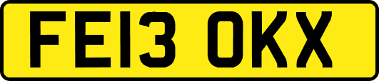 FE13OKX
