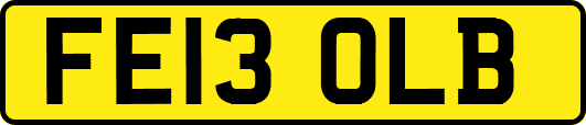 FE13OLB