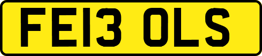 FE13OLS