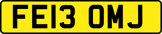 FE13OMJ