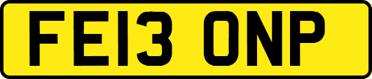 FE13ONP
