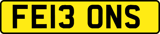 FE13ONS