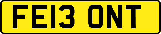 FE13ONT