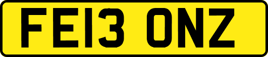 FE13ONZ