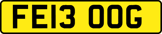 FE13OOG