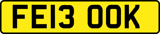 FE13OOK