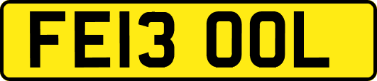 FE13OOL