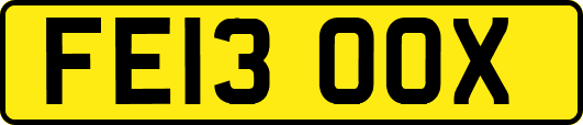 FE13OOX