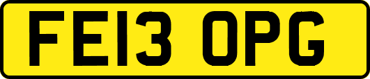 FE13OPG