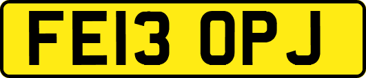 FE13OPJ