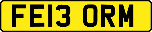 FE13ORM