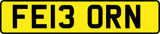 FE13ORN