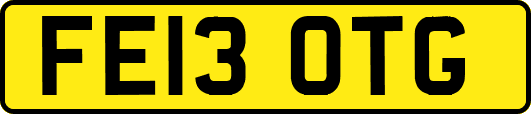 FE13OTG