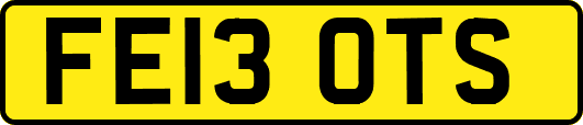 FE13OTS