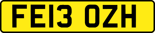 FE13OZH