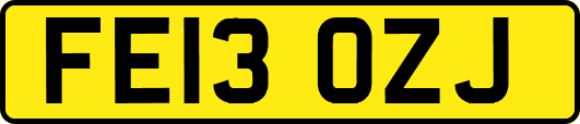 FE13OZJ