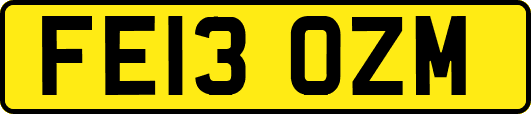 FE13OZM