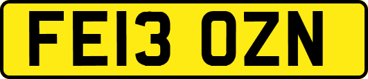 FE13OZN