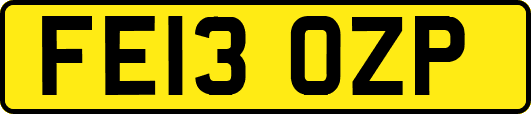 FE13OZP