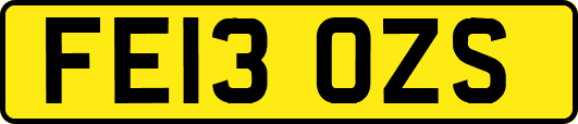 FE13OZS